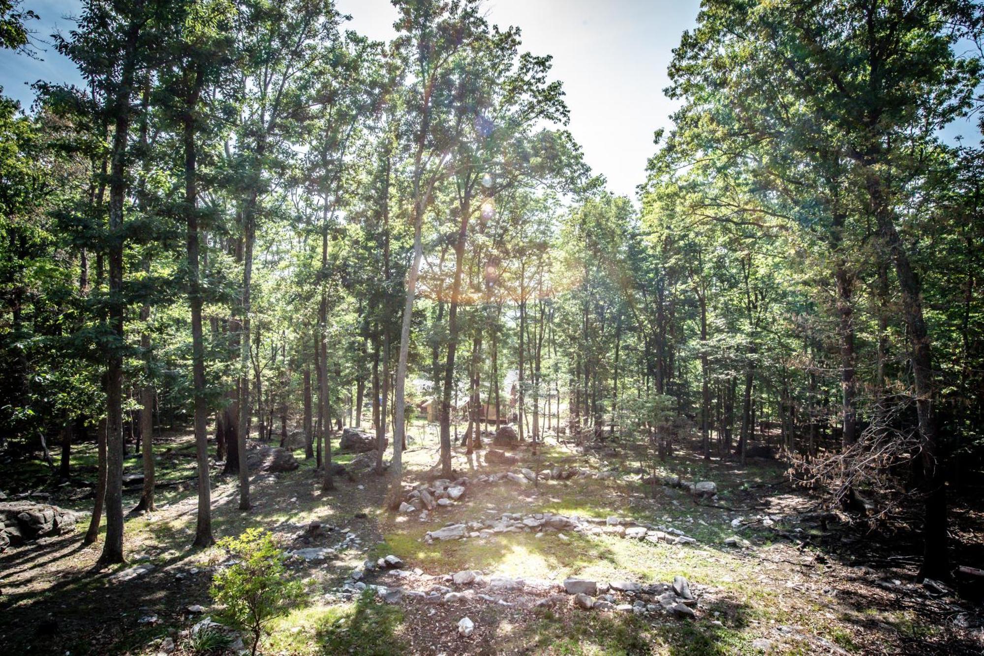 Family Friendly Mountain Cabin With Steam Shower Villa Harper's Ferry Esterno foto